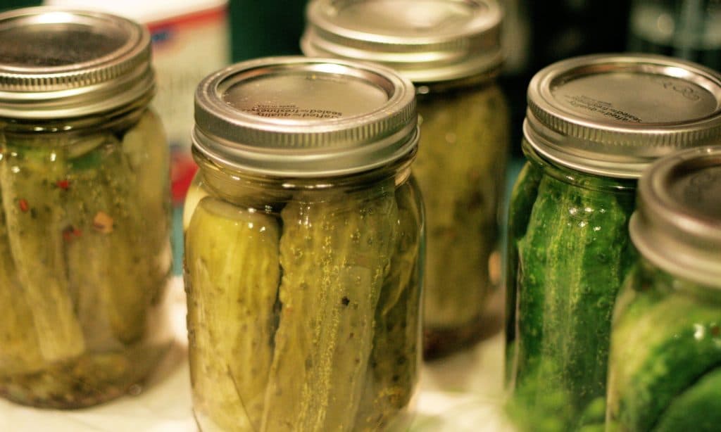 Yum? 5 Easy Cocktails To Make With Pickle Juice Cocktail Whisperer