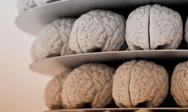 Alzheimer’s Disease And Marijuana: What You Need To Know