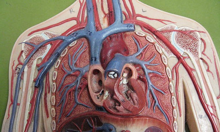 What You Need To Know About Marijuana And Hypertension