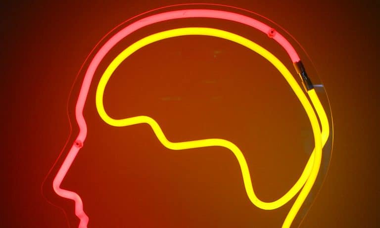 Marijuana Can Scrub The Brain Clean Of Alzheimer’s-Inducing Plaque