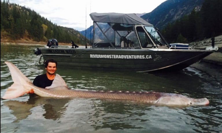 Mysterious 650-Pound Fish Finally Captured in Canadian Waters