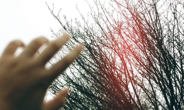 Is It Possible To Be Physically Addicted To Marijuana?