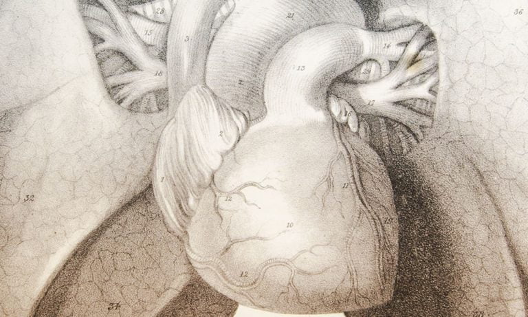 What You Need To Know About Cannabis And Metabolic Syndrome