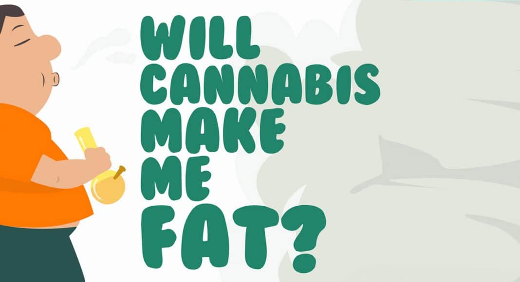 Will cannabis make me fat