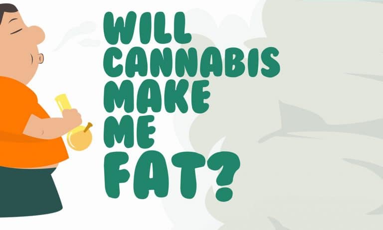 Does Marijuana Make You Fat