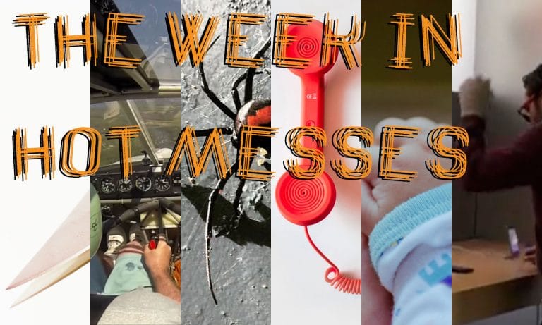 Penis-Biting Spiders, Woman-Stabbing Dogs, & iPhone-Busting Frenchmen: The Week in Hot Messes