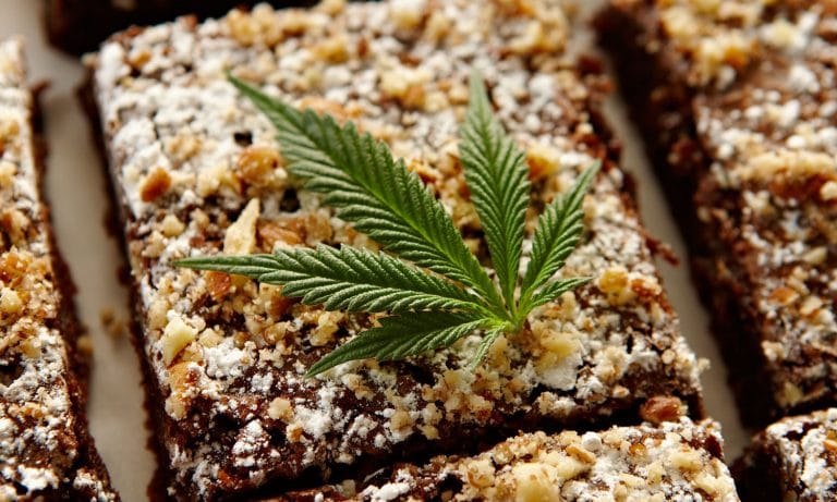 This Breathalyzer Knows If You’ve Eaten Marijuana Edibles