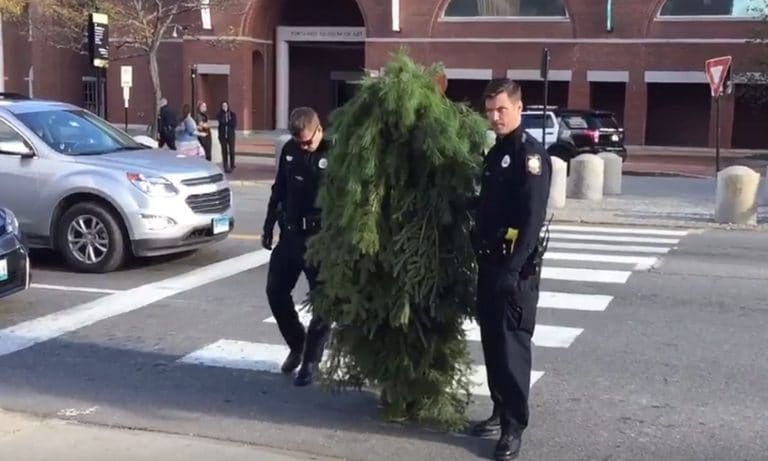 Meanwhile In Portland: Man Dresses Up Like A Tree To Block Traffic