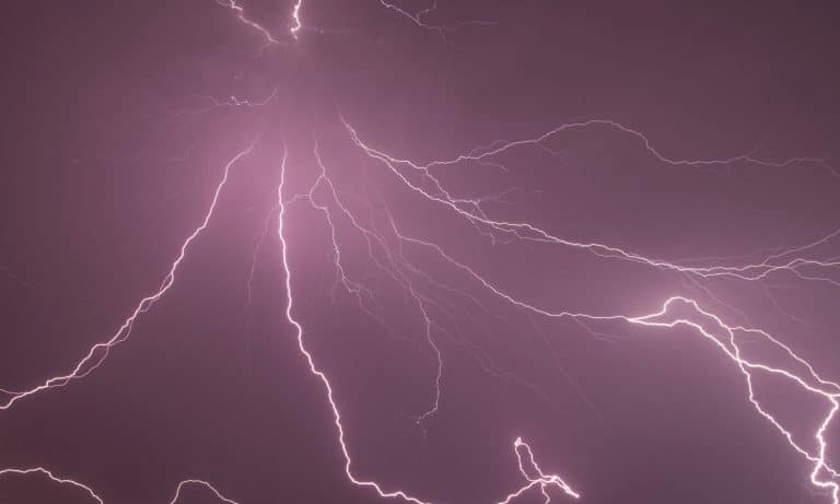 Science Says Marijuana Can Protect The Brain From The Effects Of HIV