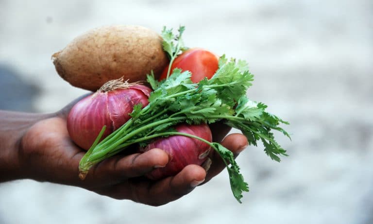 These Farmers Want To Add Marijuana To Your Produce Deliveries