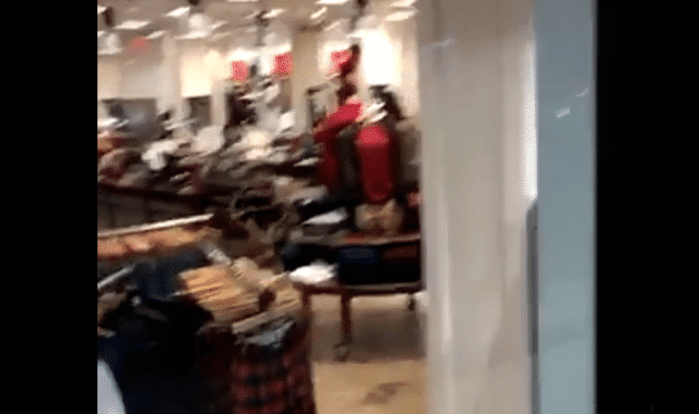 Watch: Deer Trapped in American Eagle Store Smashes Through Front Window