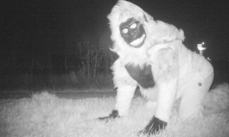 Police Set Up Cameras To Track Mountain Lion, Find Bigfoot Instead…Wait