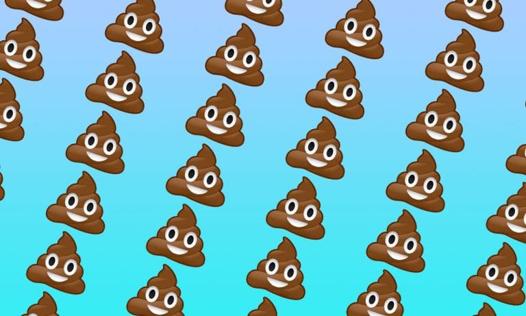 Toronto Poop Bandits Make Life Stink For Neighbors