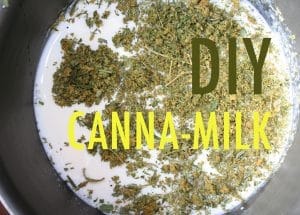 Easy As 123: Cannamilk: How To Make It And What To Expect - Herbies