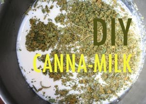 Cannabis Chocolate Pudding - Stoners Cookbook - Recipe With Cannamilk