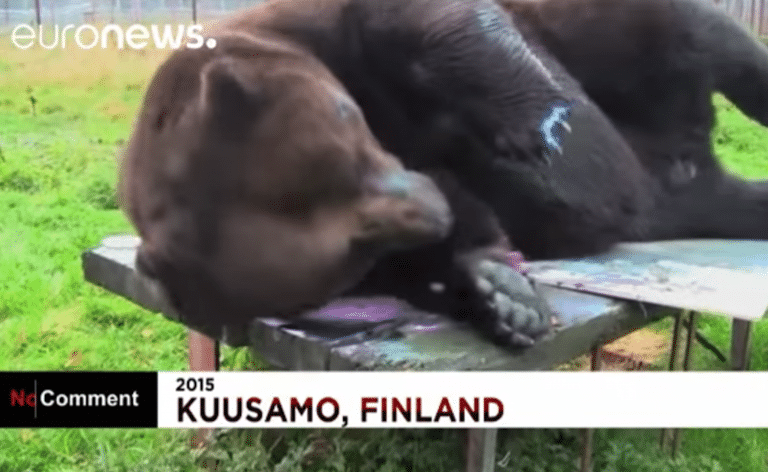 Watch a 930-Pound Bear Make Beautiful Art