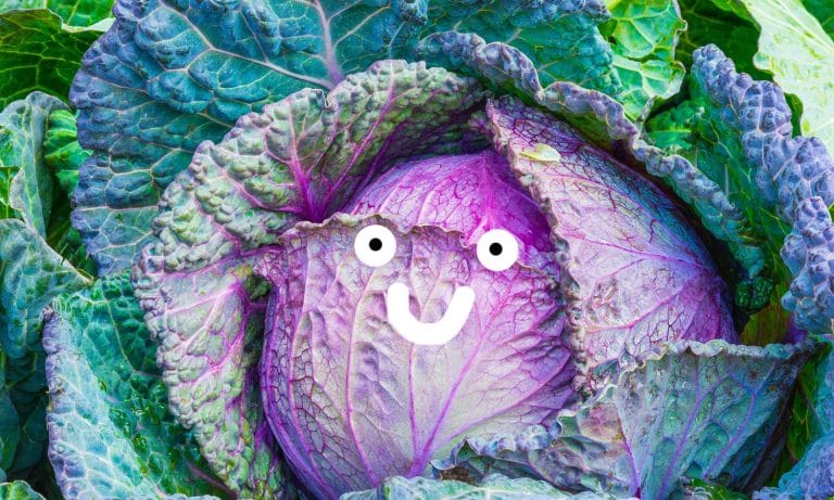 12 Slang Phrases Millennials Don’t Understand And Their 2018 Versions