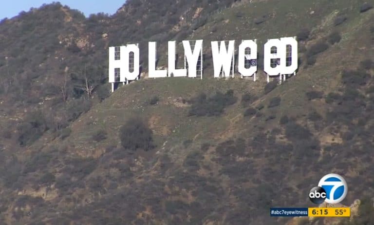 5 Things You Didn’t Know About The Hollyweed Sign Change