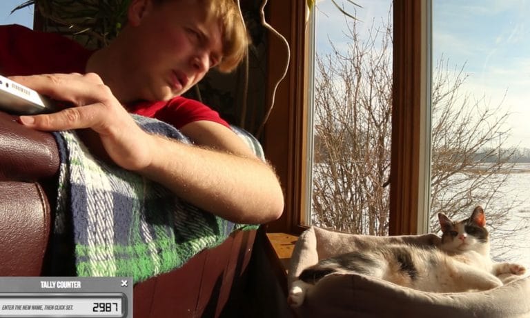 Reddit Challenge: Watch This Man Give His Cat 11,000 Stern Looks