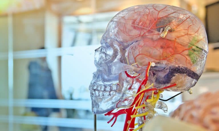 Can Medical Marijuana Actually Kill Cancer Cells In The Brain?