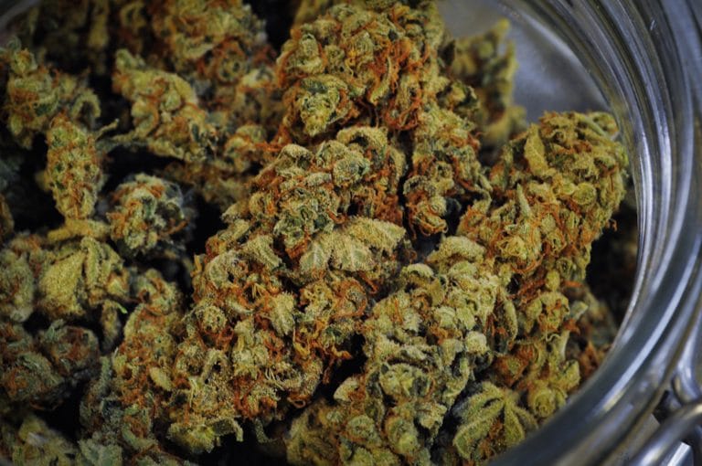 Marijuana Could Help Protect Alcoholics From Liver Damage