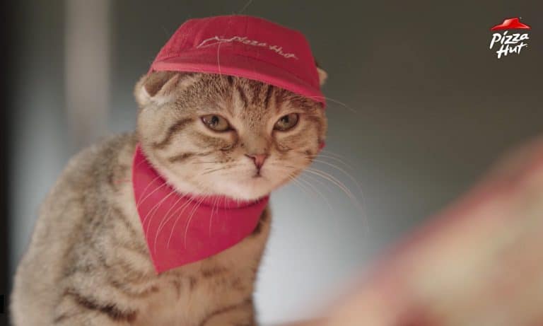 WATCH: Clumsy Costumed Cats Return For Japan’s Loveable Pizza Hut Ad