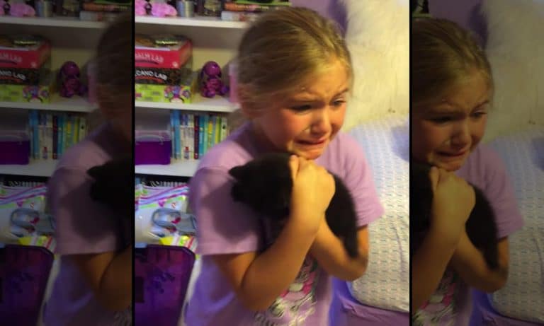 Watch: People Losing It When Meeting Their New Pets For The First Time