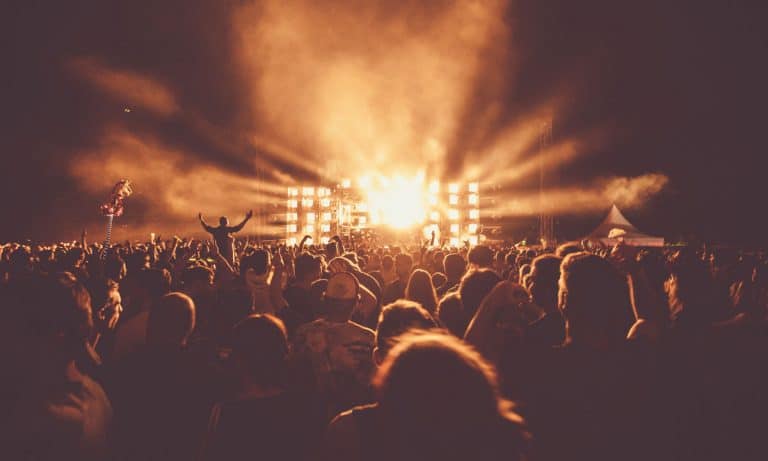 10 Types Of Marijuana Perfect For Concerts And Festivals