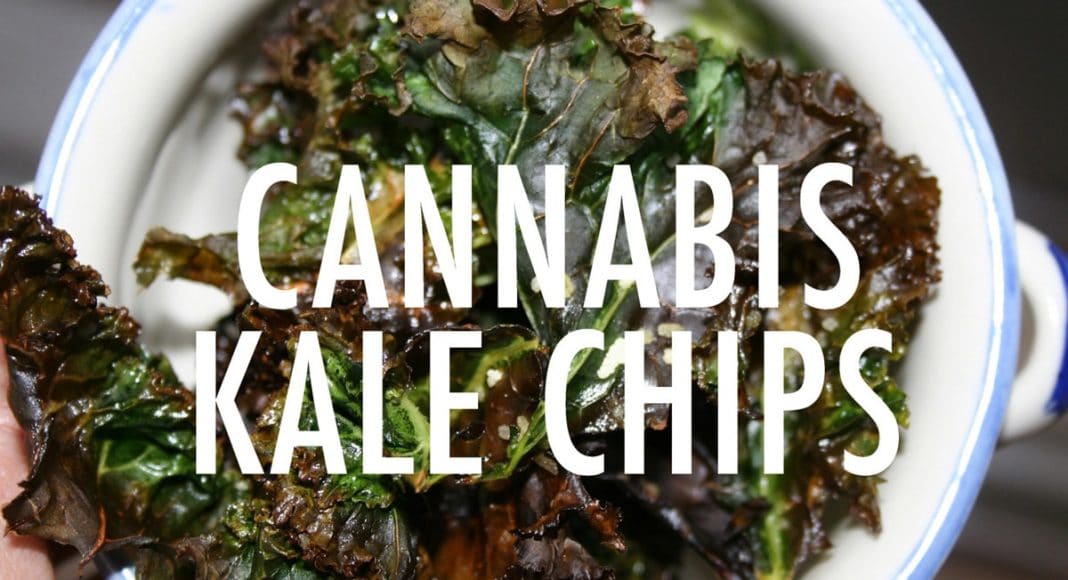 cannabis kale chips