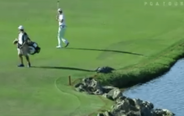 Pro Golfer Panics After Nearly Stepping On Gator He Confused For Rock On Fla. Course