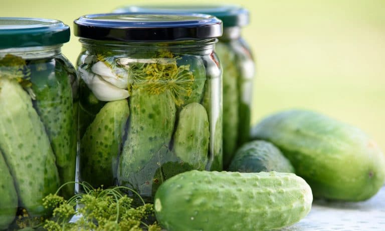 Fitness Alert! Pickle Juice = Perfect Summer Bod