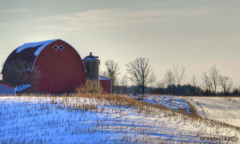 Wisconsin Town Thinks A $1 Fine For Marijuana Is Too Much Money