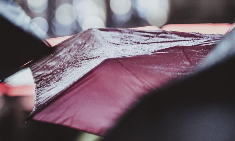 10 Types Of Marijuana That Will Make A Rainy Day Better