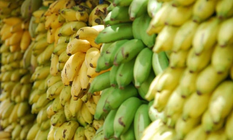 Beyond Banana Bread: 7 Healthy Ways To Utilize Bananas Before They Rot