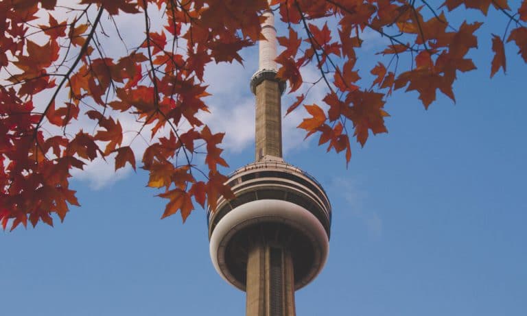 You Can Now Trade Marijuana-Related Stocks On The Toronto Stock Exchange