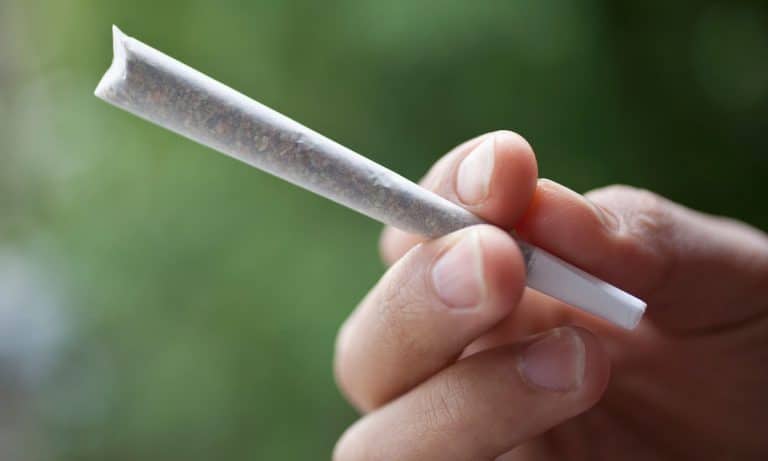 Marijuana And Fatty Liver Disease: How The Plant Can Help