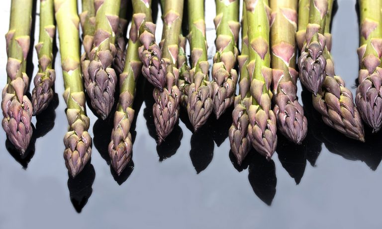Oh, Snap! Here Are The 10 Best Recipes For Asparagus, Ever