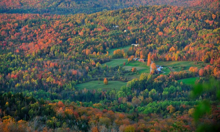 Shocker: Vermont Governor Rejects Bill To Legalize Marijuana