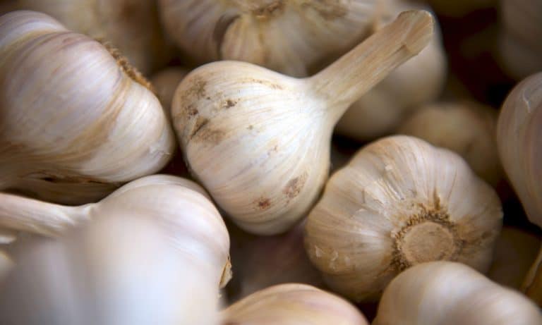 Why Garlic Breath Lingers And 6 Other Food Facts You Need To Know