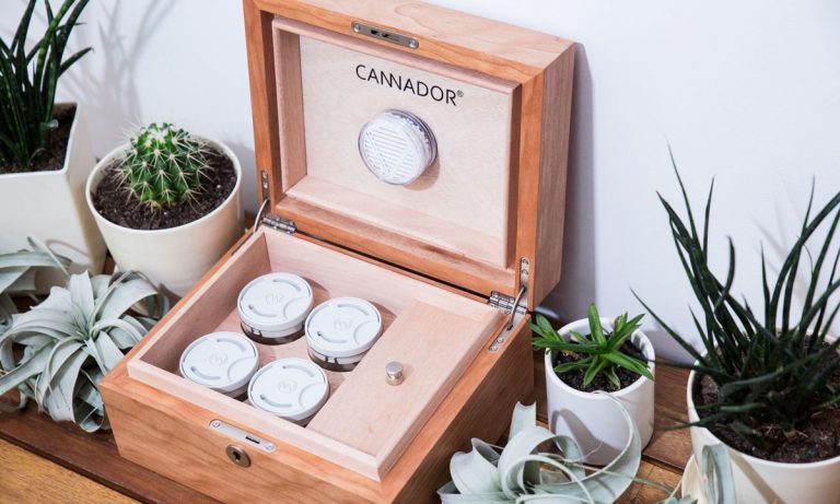 This Smartphone-Enabled Humidor Keeps Your Bud Fresh