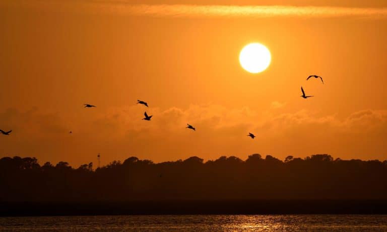 Inside Florida’s Stifling Medical Marijuana Program