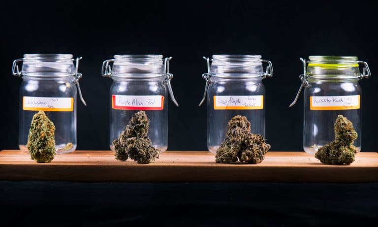 How To: 5 Tips On Getting The Best Buds For The Buck