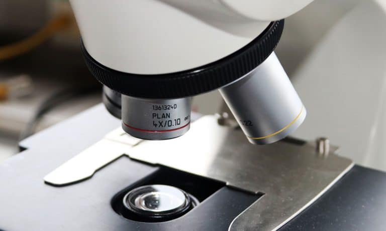 Cannabis Testing Fraud: What’s Really In Your Marijuana?