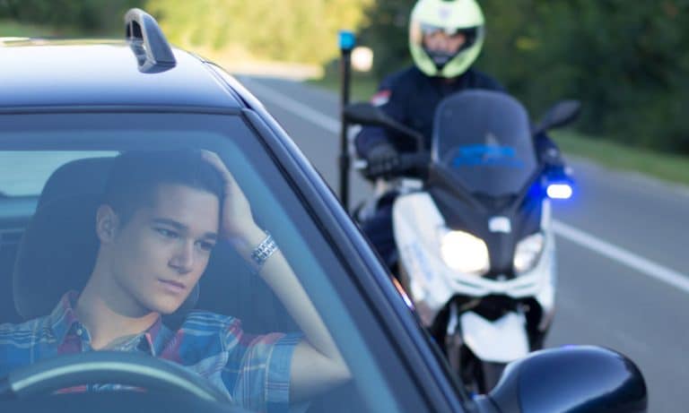 What’s Happening With Traffic Searches In Legal Marijuana States?