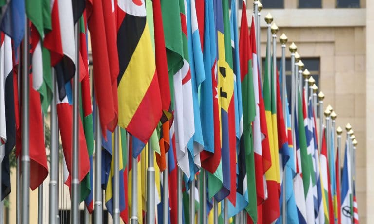 UN And WHO Open To Decriminalization Of Some Drugs