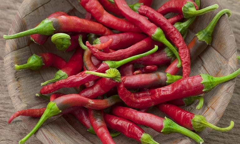 A Shot Of Chili Vodka Landed This Guy In The Hospital