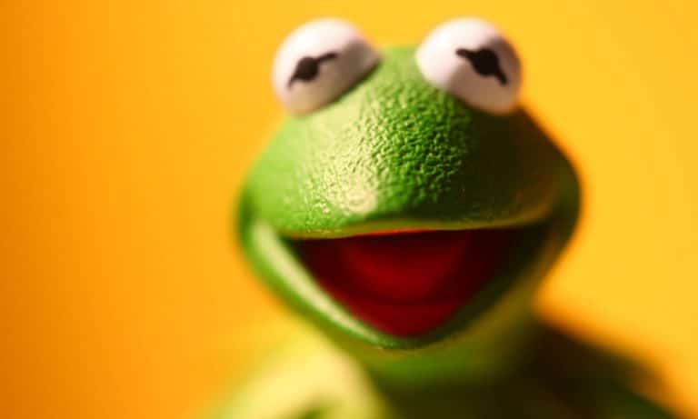 Kermit The Frog Has A New Voice And It’s Getting Weird