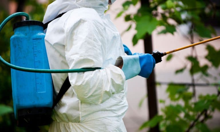 Marijuana Recall: This Time It’s Pesticides In Concentrates