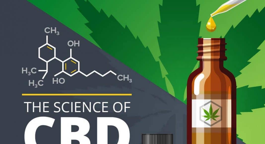 How CBD Works