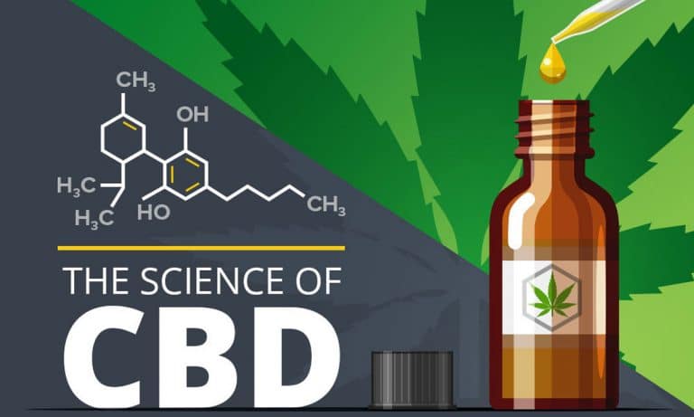 The Science Of How CBD Works In The Body